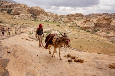 Çölde yürüyen eşek, Wadi Musa, Petra, Ürdün