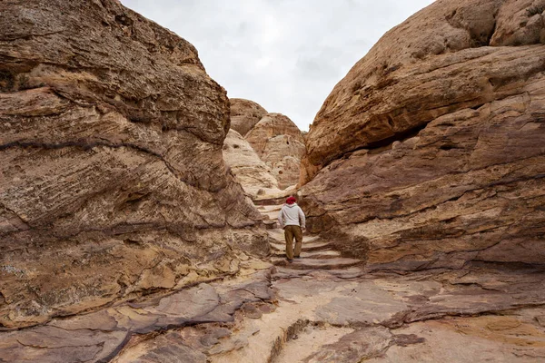 Gyönyörű Táj Jordán Sivatagban Rocky Homokkő Hegyek Táj Jordániában Sivatag — Stock Fotó