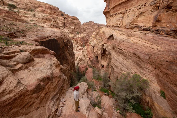 Ürdün çölünün güzel manzarası. Ürdün çölündeki Rocky kumtaşı dağları Petra antik kasabası, Ürdün yakınlarındaki
