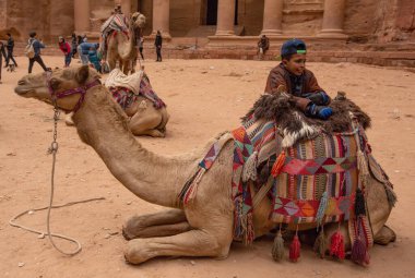 Petra antik kentinde bir deve kervanı, Ürdün