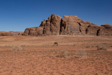 Wadi Rum Çölü 'nde taş oluşumları. Wadi Rum 'da güneşli bir gün, Jordan.