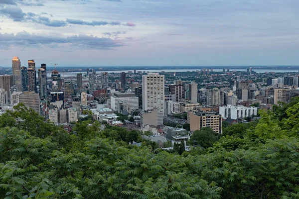 Montreal Canada Haziran 2022 Montreal Silueti Montreal Quebec Teki Mont — Stok fotoğraf