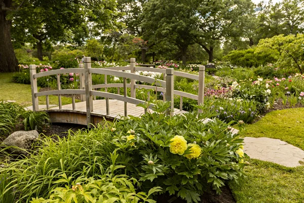 Schöne Landschaft Des Botanischen Gartens Von Montreal Sommerzeit Montreal Quebec — Stockfoto