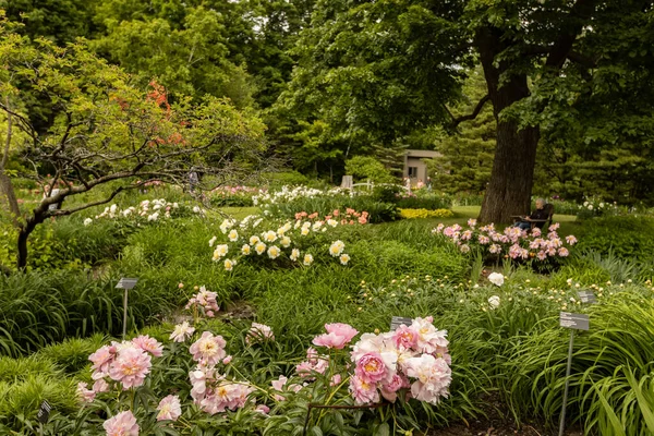 Schöne Landschaft Des Botanischen Gartens Von Montreal Sommerzeit Montreal Quebec — Stockfoto