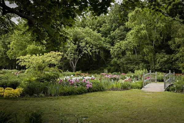 モントリオール植物園 ケベック州 カナダの夏の時間の美しい景色 — ストック写真