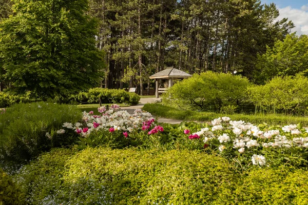 Montreal Kanada Juni 2022 Japanischer Garten Botanischen Garten Montreal Kanada — Stockfoto