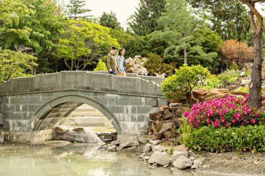 MONTREAL, CANADA - Haziran 2022: Montreal Botanik Bahçesi 'ndeki Çin bahçesindeki Stone Köprüsü, Kanada