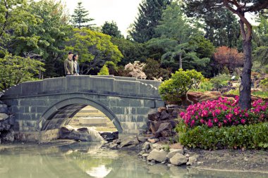 MONTREAL, CANADA - Haziran 2022: Montreal Botanik Bahçesi 'ndeki Çin bahçesindeki Stone Köprüsü, Kanada