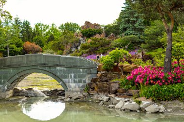 MONTREAL, CANADA - Haziran 2022: Montreal Botanik Bahçesi 'ndeki Çin bahçesindeki Stone Köprüsü, Kanada