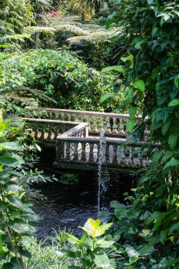 Kuala Lumpur Kelebek Parkı manzarası, bahçesi veya parkı Kuala Lumpur, Malezya