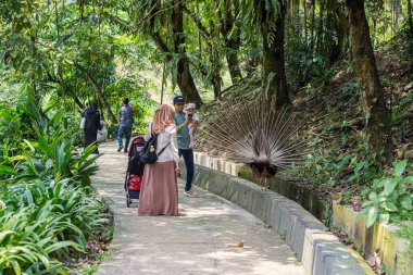 KUALA LUMPUR, MALAYSIA - Mart 2020: Malezya ailesi Kuala Lumpur kuş parkında, Malezya