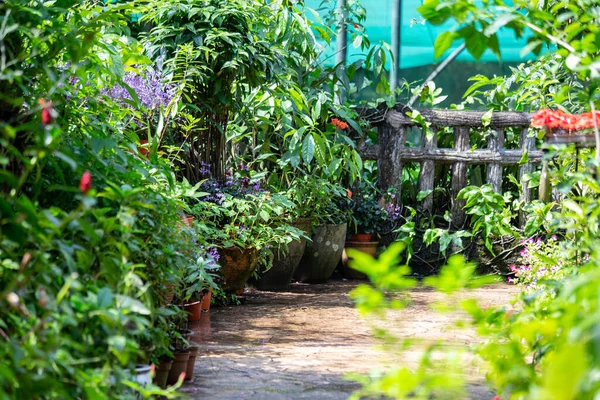 Куала Лумпур Бабочка Парк Пейзажи Сад Парк Тропическими Растениями Куала — стоковое фото