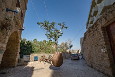 İsrail, Jaffa 'daki askıya alınmış portakal ağacı.