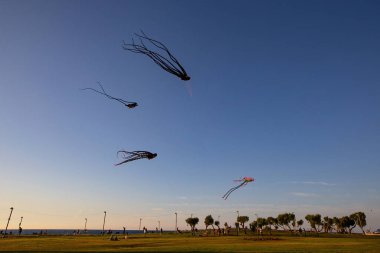 Günbatımında uçurtmalar denizin üzerinde gökyüzünde