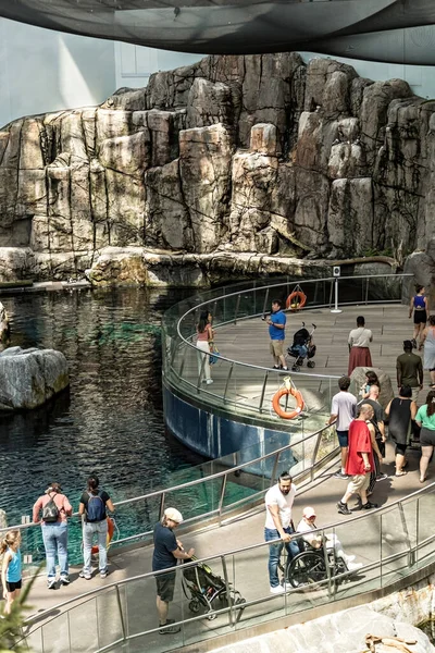 Bay Lawrence Section Biodome Nature Museum Montreal Quebec Canada — 스톡 사진