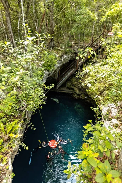 Cenote Pit Top View Freediving Session Cenote Mexico Tulum Mexico — Stockfoto