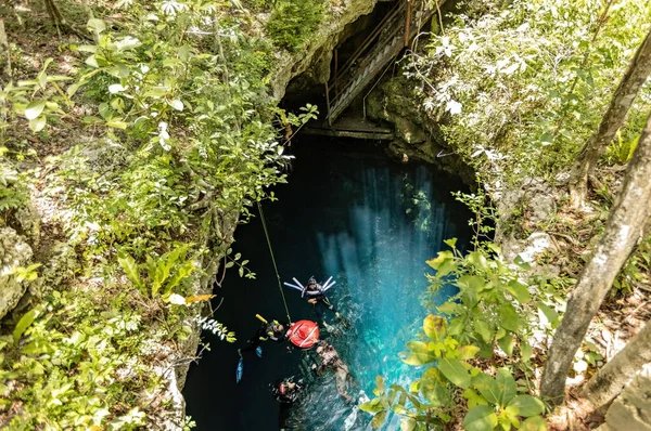 Cenote Pit Top View Freediving Session Cenote Mexico Tulum Mexico — 图库照片