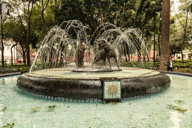 Mexico City 'deki Coyoacan parkında iki çakal çeşmesi.