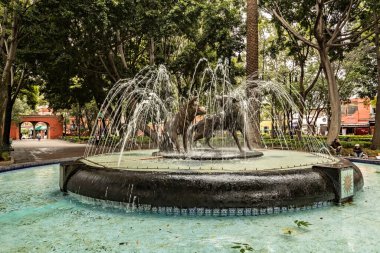 Mexico City 'deki Coyoacan parkında iki çakal çeşmesi.