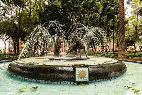 Mexico City 'deki Coyoacan parkında iki çakal çeşmesi.