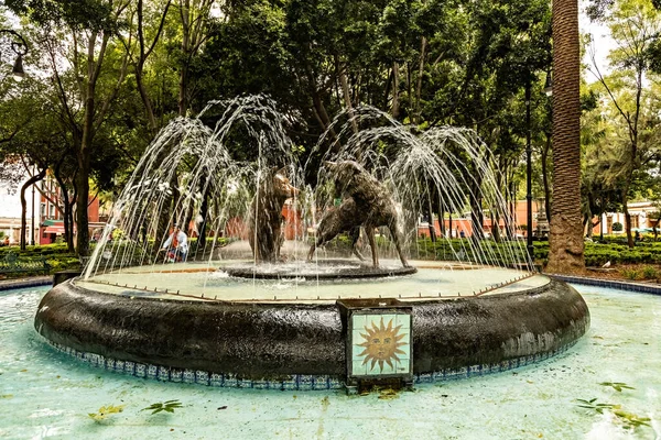 멕시코 공원에 — 스톡 사진