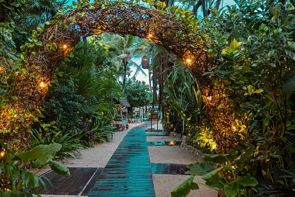 Verde Jardim Exuberante Perto Casa México Jardim Tropical Com Plantas — Fotografia de Stock