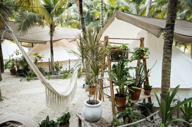 Güzel bir Meksika plaj çadırı oteli ya da pansiyonu. Ormandaki çadırlar bitkiler ve çiçeklerle süslenmiş, Tulum, Meksika