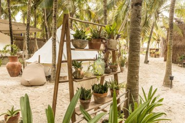 Güzel bir Meksika plaj çadırı oteli ya da pansiyonu. Ormandaki çadırlar bitkiler ve çiçeklerle süslenmiş, Tulum, Meksika