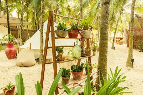 Wunderschönes Mexikanisches Strandzelthotel Oder Hostel Zelte Dschungel Mit Pflanzen Und — Stockfoto