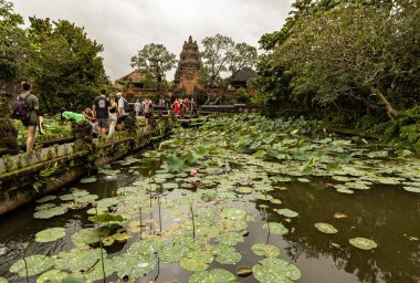 Saraswati tapınağının Ubud, Bali, Endonezya 'daki nilüfer bitkileriyle dolu gölet manzarası