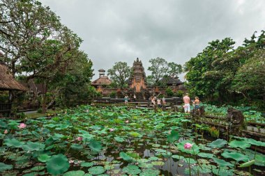 Saraswati tapınağının Ubud, Bali, Endonezya 'daki nilüfer bitkileriyle dolu gölet manzarası