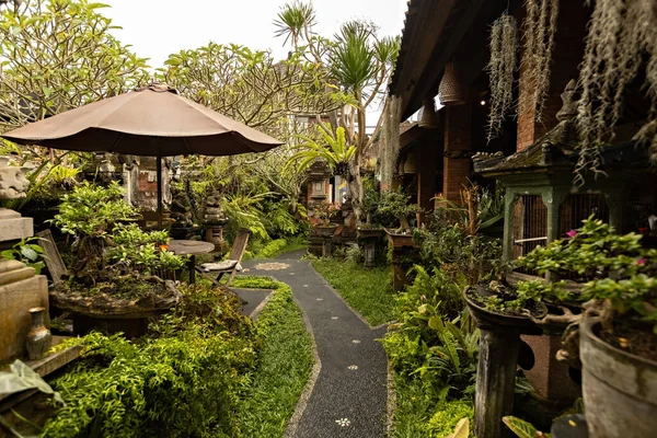 Krásný Interion Kavárny Stylu Bali Ubud Bali Indonésie — Stock fotografie