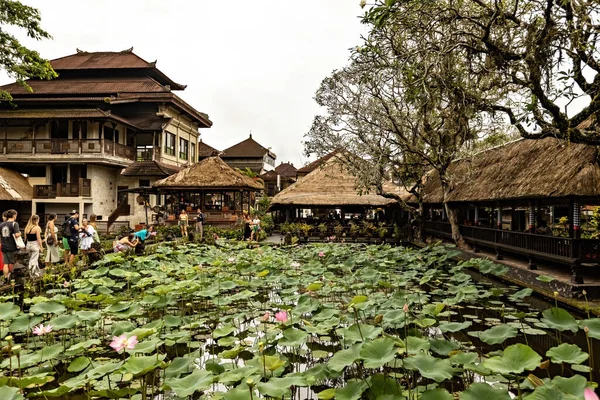 Widok Stawu Świątynnego Saraswati Roślinami Lotosu Ubud Bali Indonezja — Zdjęcie stockowe