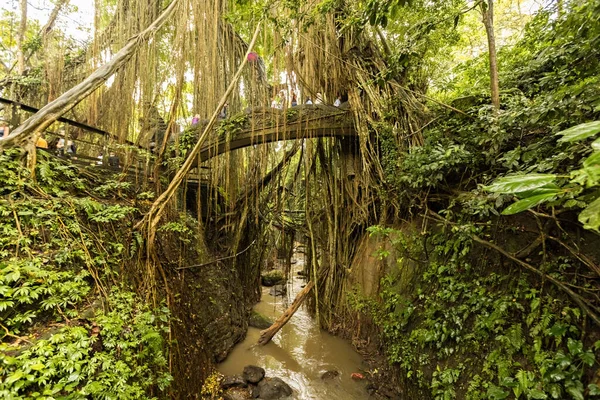 Каменный Мост Джунглях Лесу Святой Обезьяны Убуде Бали Индонезия — стоковое фото
