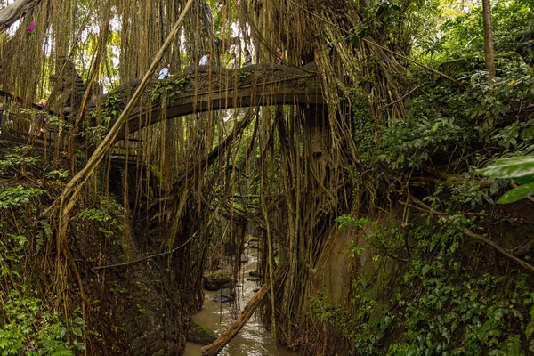 Ponte Pedra Selva Floresta Macacos Sagrados Ubud Bali Indonésia — Fotografia de Stock