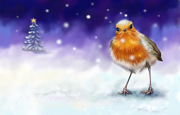 Christmas robin card — Stock Photo, Image