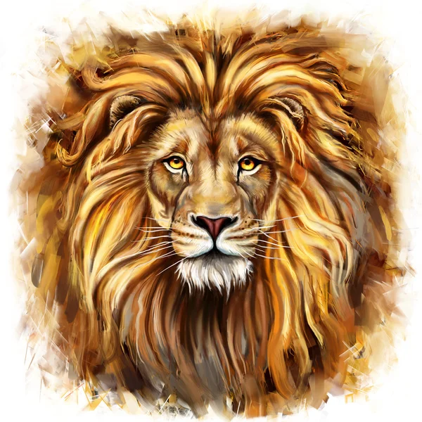 Král Lev aslan — Stock fotografie