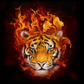 head of a tiger in flames