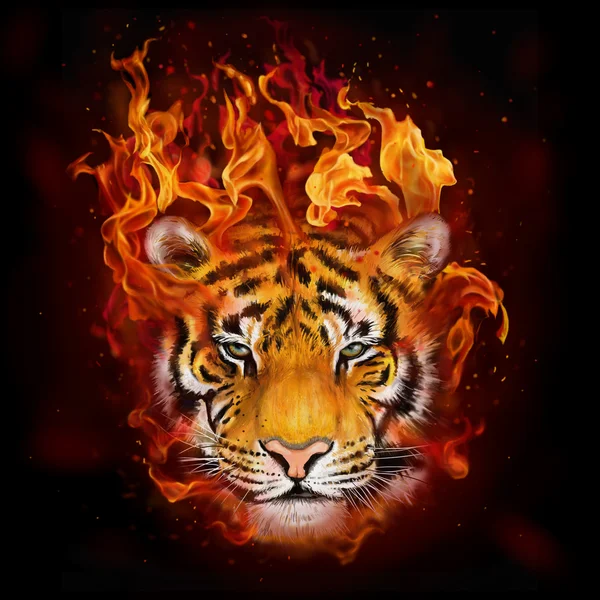 Kopf eines Tigers in Flammen — Stockfoto