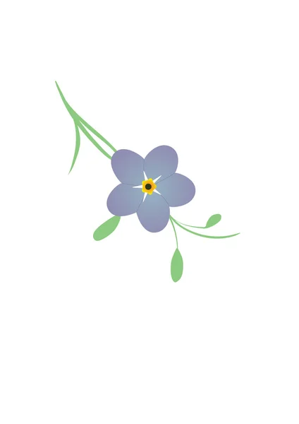 忘れ私ない花 — ストックベクタ