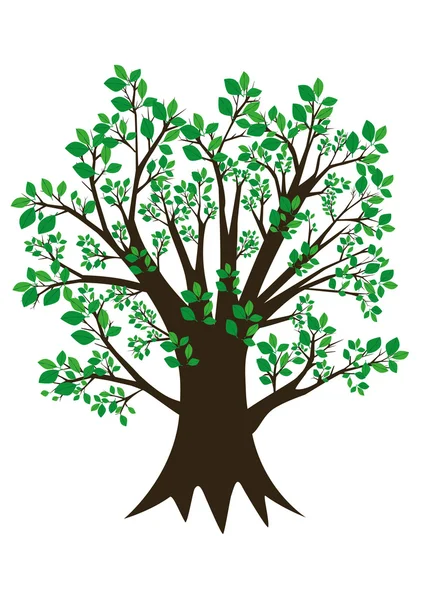 Una ilustración de un árbol — Archivo Imágenes Vectoriales
