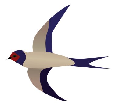 Flying swallow clipart