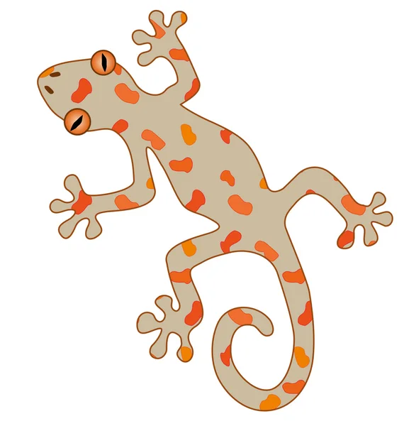 Gecko. — Wektor stockowy