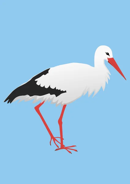 En illustration av en stork — Stock vektor