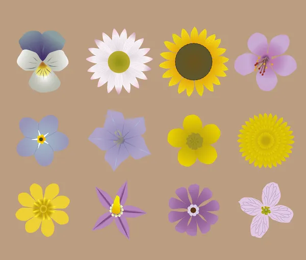 Flowers — Stock Vector