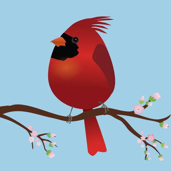 一只非常可爱的北方红衣鸟 形似一只蛋 蓝色背景 这只鸟栖息在枝条上 枝条上有粉红色的花 — 图库矢量图片