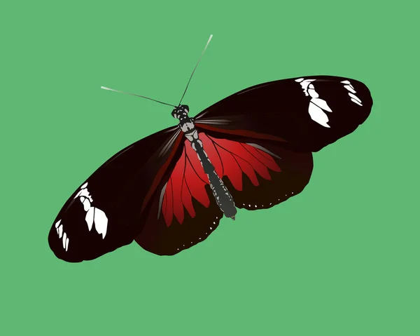 Una Ilustración Vectorial Una Mariposa Doris Longwing Insecto Representa Sobre — Vector de stock