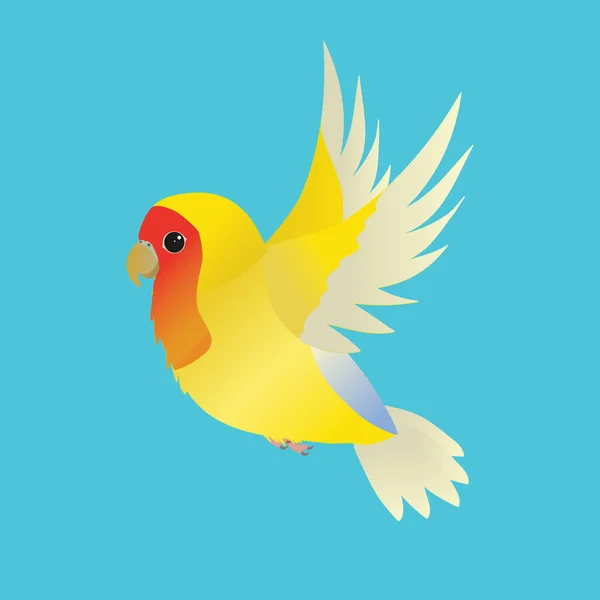 Uçan Sarı Şeftali Yüzlü Aşk Kuşu Arka Plan Mavi — Stok Vektör