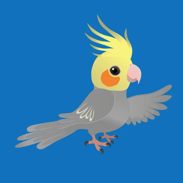 Illustration Cute Male Cockatiel His Crest Looks Friendly You His — Vettoriale Stock