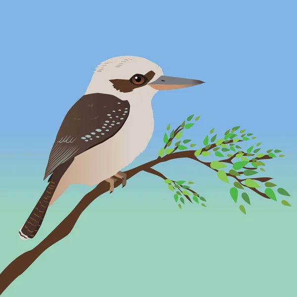 Vector Illustration Kookaburra Bird Perched Branch Some Leafs Background Blue — Stock Vector